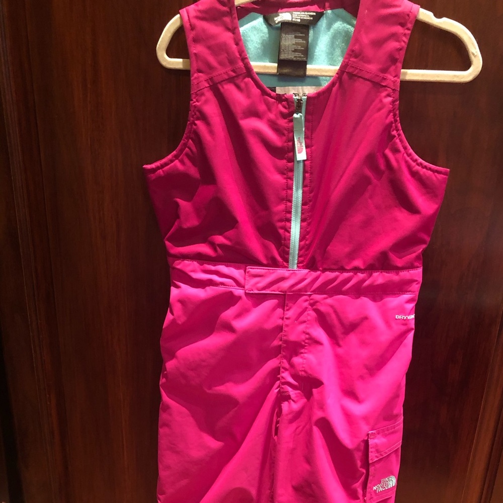 Insulated toddler bib - north face